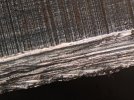 PXL_20221017_023323649.jpg