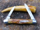 Robeson 623501 Jigged Bone Pen 1916-39.JPG