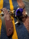 IMG_1338.jpeg