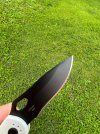 IMG_3356.jpeg IMG_3356.jpeg