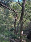 IMG_2644.jpeg