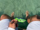 IMG_8693.jpeg