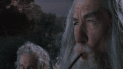 1784686246846.gif 1784686246846.gif
