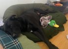 IMG_3098.jpeg