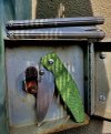 IMG_2565.jpeg