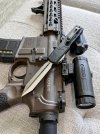 IMG_7518.jpeg