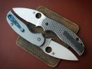 Sage Rex121 pair.jpg