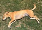 IMG_2665.jpeg