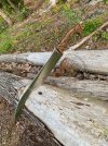 IMG_2299.jpeg