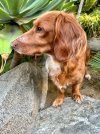 IMG_1412.jpeg