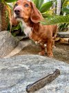 IMG_1406.jpeg