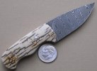 SS Damascus & Mammoth Ivory #3 (2).jpg