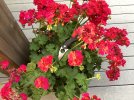 IMG_1852.jpeg