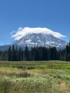 IMG_5978.jpeg