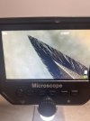 IMG_8935.jpeg