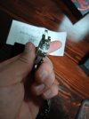 20260728_155255.jpg