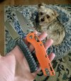 IMG_8128.jpeg