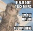 IMG_8947.jpeg