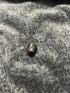 IMG_0421.jpeg