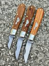 IMG_7504.jpeg