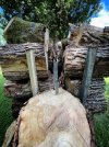 IMG_1294.jpeg