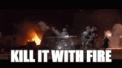 kill-it-with-fire.gif