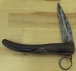 Okapi 1-1.JPG
