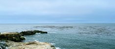 IMG_1307.jpeg