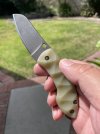 Spyderco Pingo vox:anso.JPG