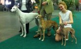 doggies+people.jpg