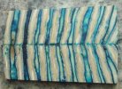 Mammoth Tooth Scales.jpg
