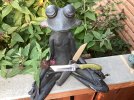 IMG_1863.jpeg