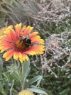 IMG_9023.jpeg