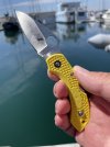 Spyderco Dragonfly Salt c.JPG