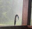 IMG_4901.jpeg