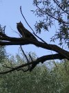 IMG_2823.jpeg