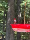 IMG_1361.jpeg