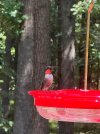 IMG_1363.jpeg