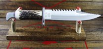 184 Stag - 2.jpg