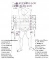 tameshigiri_tests2 largecopy.jpg