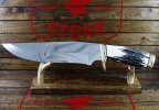 Apache Bowie Stag - 1.jpg