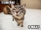 4maxcat.jpg