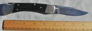 autobuck02.jpg