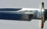 nosawteeth03.jpg