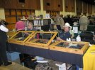 IMG_1596.jpg