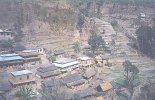 they once had trees in the back yards.jpg