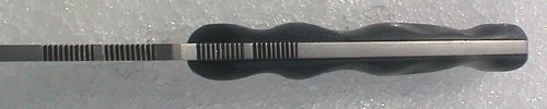 diottestinger2.jpg