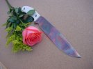 internal affair on rose other side.jpg