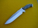 triple clipped variant.jpg