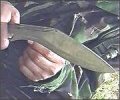 kosovo khukuri.jpg